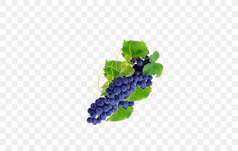 Grape Fruit Computer File, PNG, 1100x700px, Grape, Auglis, Designer, Food, Fruit Download Free