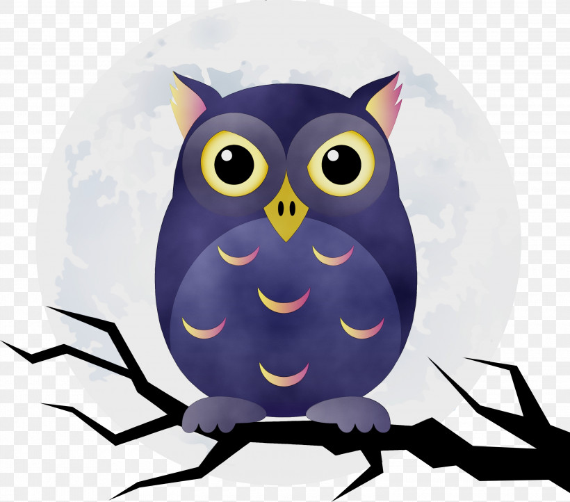 Birds Beak Cartoon Bird Of Prey Owl M, PNG, 3000x2643px, Happy Halloween, Beak, Biology, Bird Of Prey, Birds Download Free