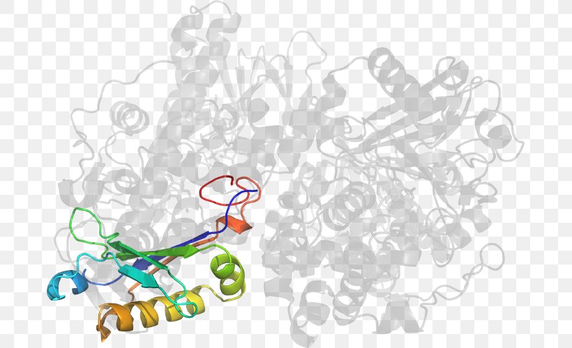 Clip Art, PNG, 685x500px, Tree, Area, Computer, Diagram, Organism Download Free