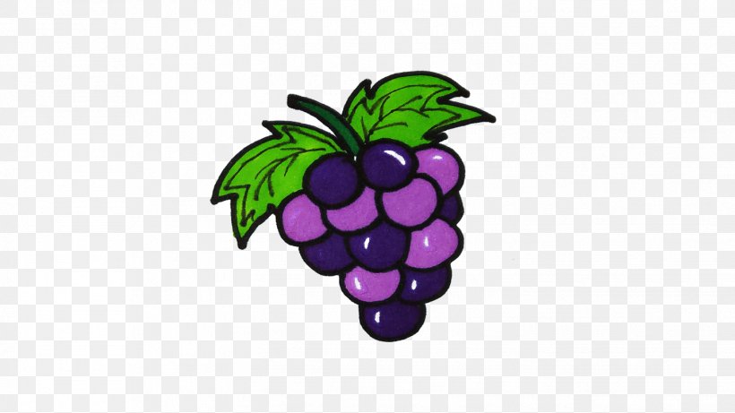 Grape Clip Art, PNG, 1449x815px, Grape, Berry, Blackberry, Flowering Plant, Food Download Free