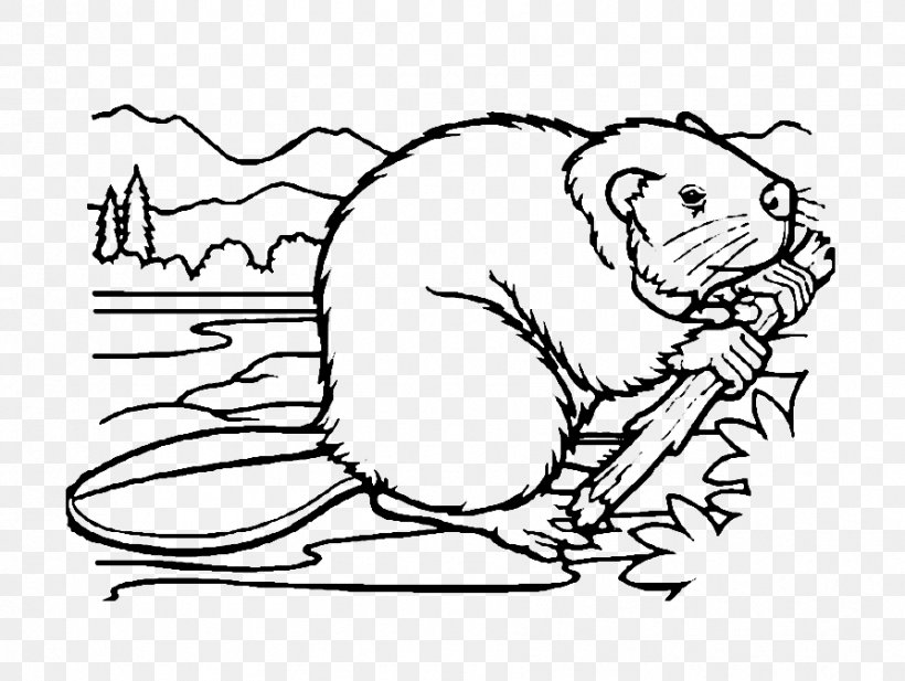 Beaver Whiskers Coloring Book Drawing, PNG, 893x672px, Watercolor, Cartoon, Flower, Frame, Heart Download Free
