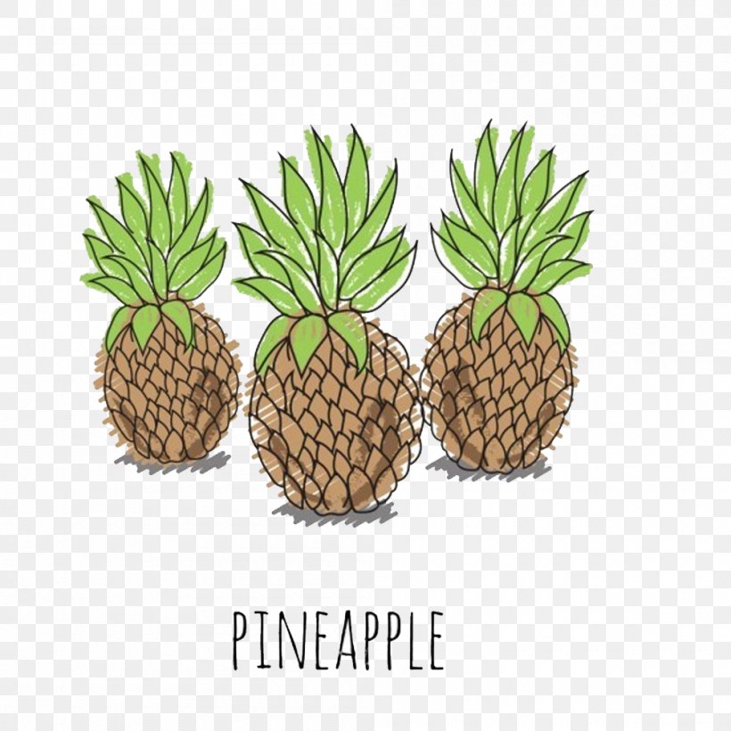 Pineapple Juice Euclidean Vector Illustration, PNG, 1000x1000px, Pineapple, Ananas, Auglis, Bromeliaceae, Flowerpot Download Free