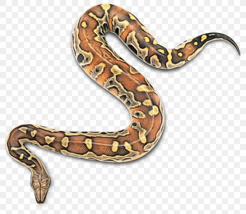Snake Cartoon, PNG, 1200x1044px, Boa Constrictor, Animal, Boa, Burmese  Python, Colubridae Download Free
