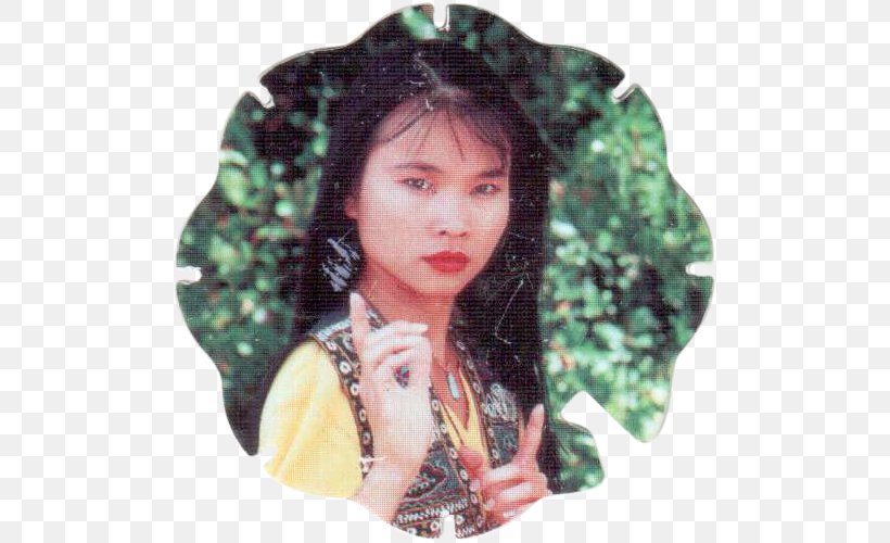 Thuy Trang Trini Kwan Mighty Morphin Power Rangers Actor 14 December, PNG, 500x500px, 2001, Thuy Trang, Actor, Austin St John, Black Hair Download Free