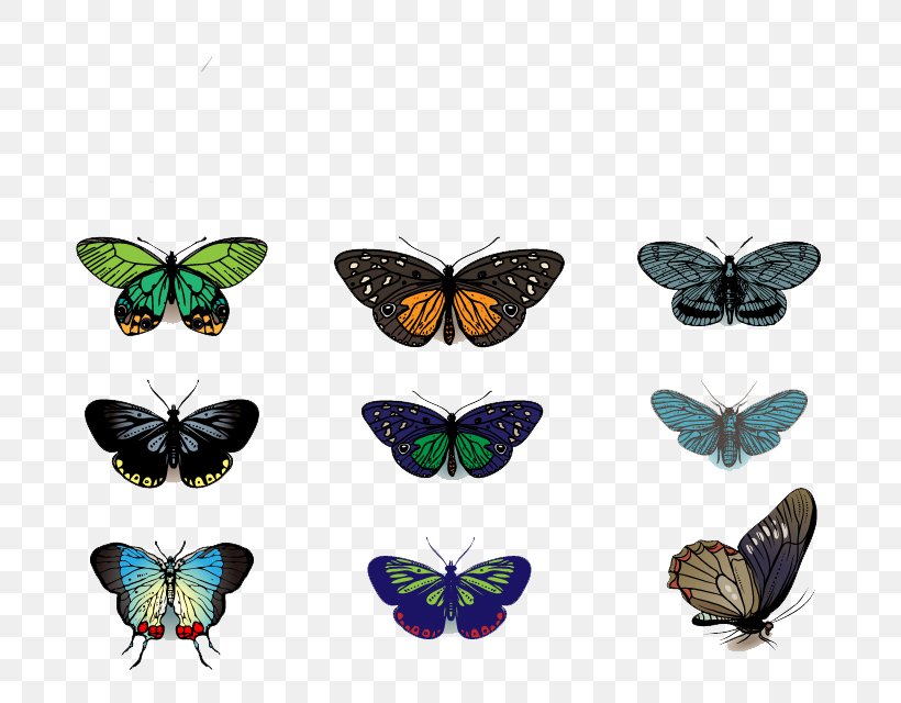 Butterfly Drawing Clip Art, PNG, 800x640px, Butterfly, Arthropod, Brush Footed Butterfly, Drawing, Graphic Arts Download Free