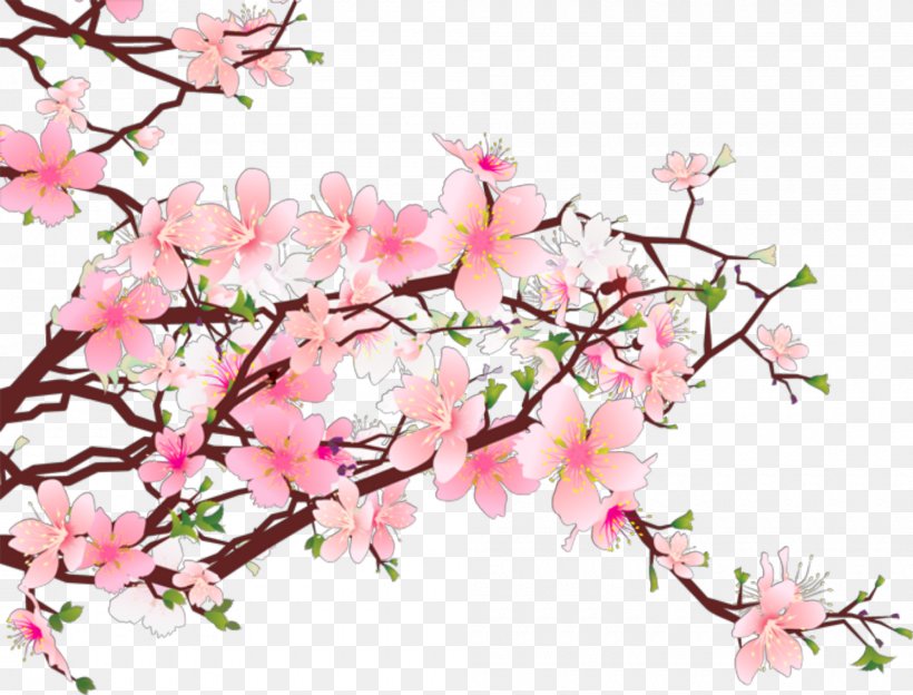 Clip Art Cherry Blossom, PNG, 2000x1523px, Cherry Blossom, Azalea, Blossom, Branch, Cherry Download Free