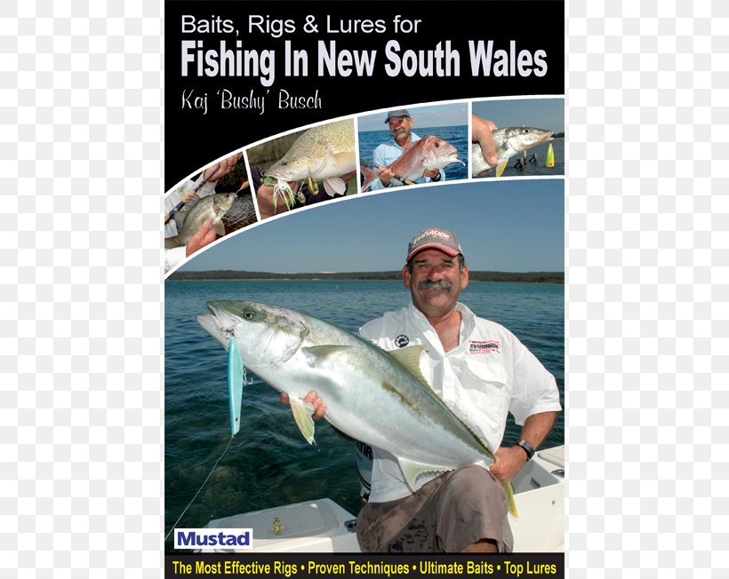 Jigging New South Wales Fishing Baits & Lures, PNG, 510x652px, Jigging, Angling, Australia, Book, Fish Download Free