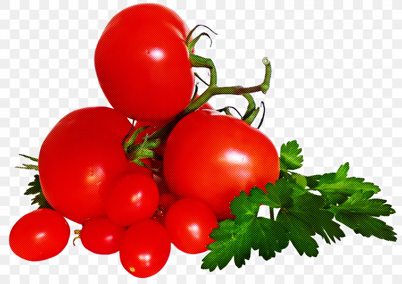 Tomato, PNG, 1920x1356px, Bush Tomato, Cherry, Cherry Tomato, Cuisine, Fruit Download Free
