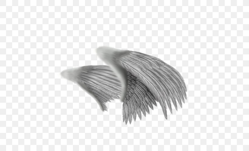 Drawing Angel Feather, PNG, 600x500px, Wing, Angel, Art, Beak, Black And White Download Free