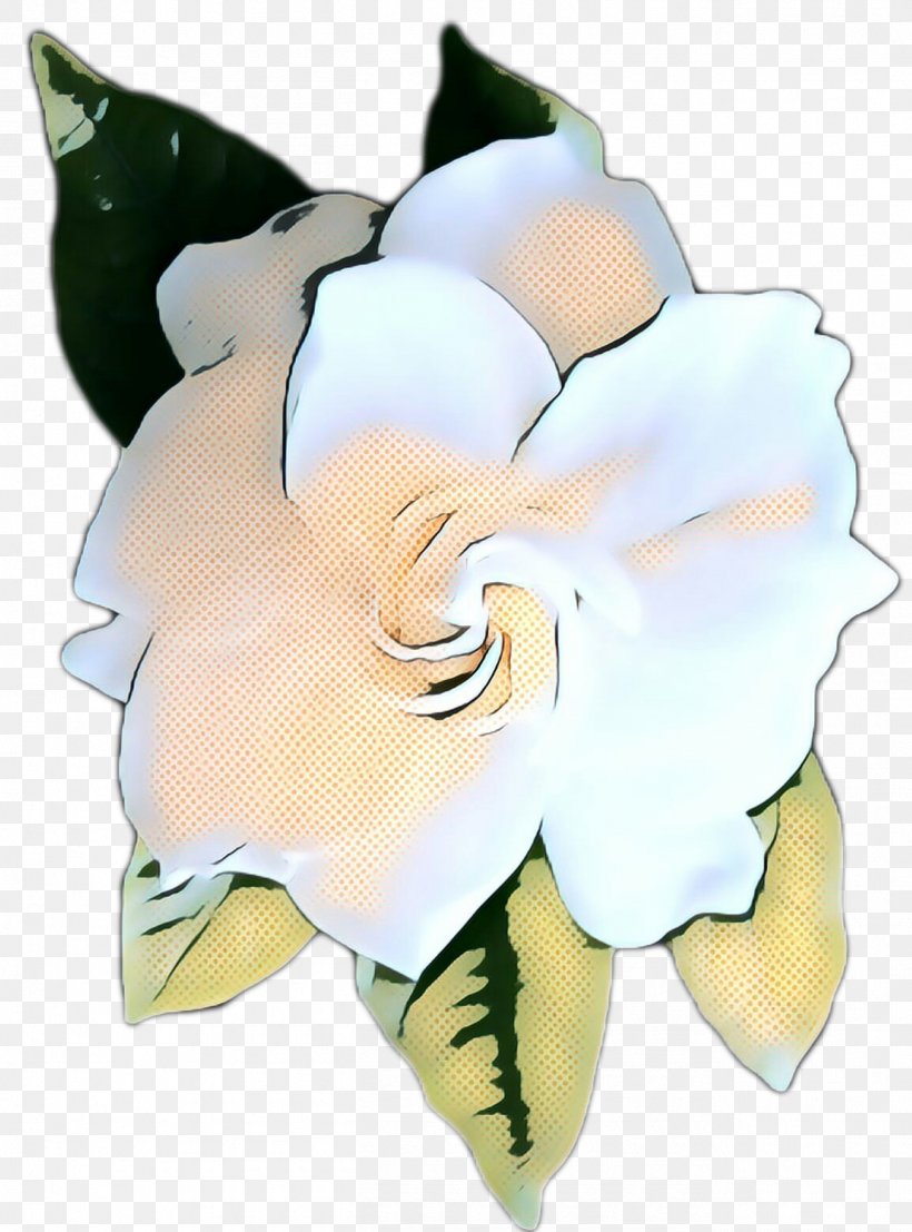 Flowers Background, PNG, 1304x1761px, Pop Art, Cut Flowers, Floral Design, Flower, Gardenia Download Free