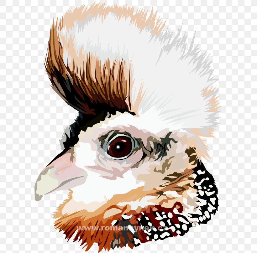 Owl Clip Art Illustration Beak Carnivores, PNG, 600x808px, Watercolor, Cartoon, Flower, Frame, Heart Download Free
