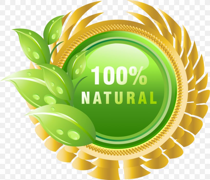 Dietary Supplement Health Natural Product Extract Oil, PNG, 1092x937px, Dietary Supplement, Brand, Diabetes Mellitus, Extract, Food Download Free