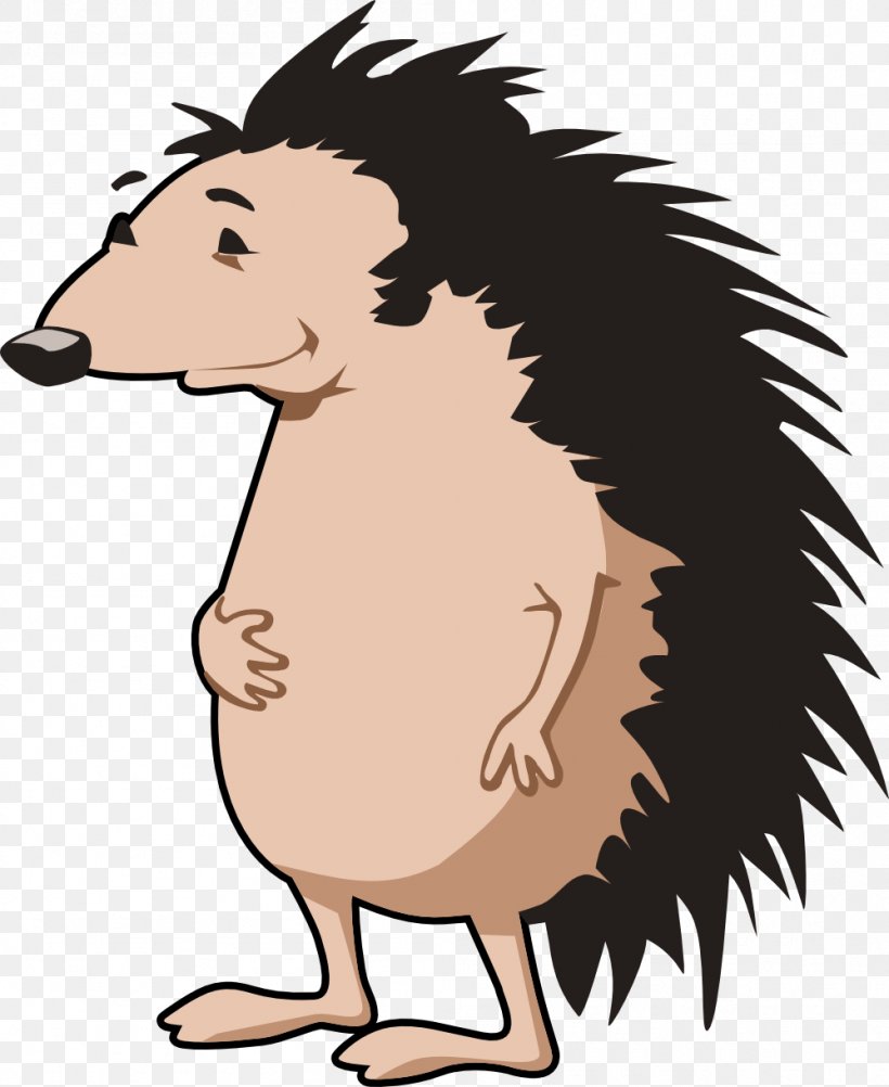 Hedgehog Free Content Clip Art, PNG, 999x1221px, Hedgehog, Art, Artwork, Beak, Carnivoran Download Free