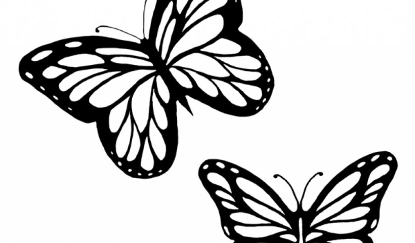 Monarch Butterfly Outline Drawing Clip Art, PNG, 1024x600px, Butterfly, Arthropod, Black And White, Brush Footed Butterfly, Caterpillar Download Free