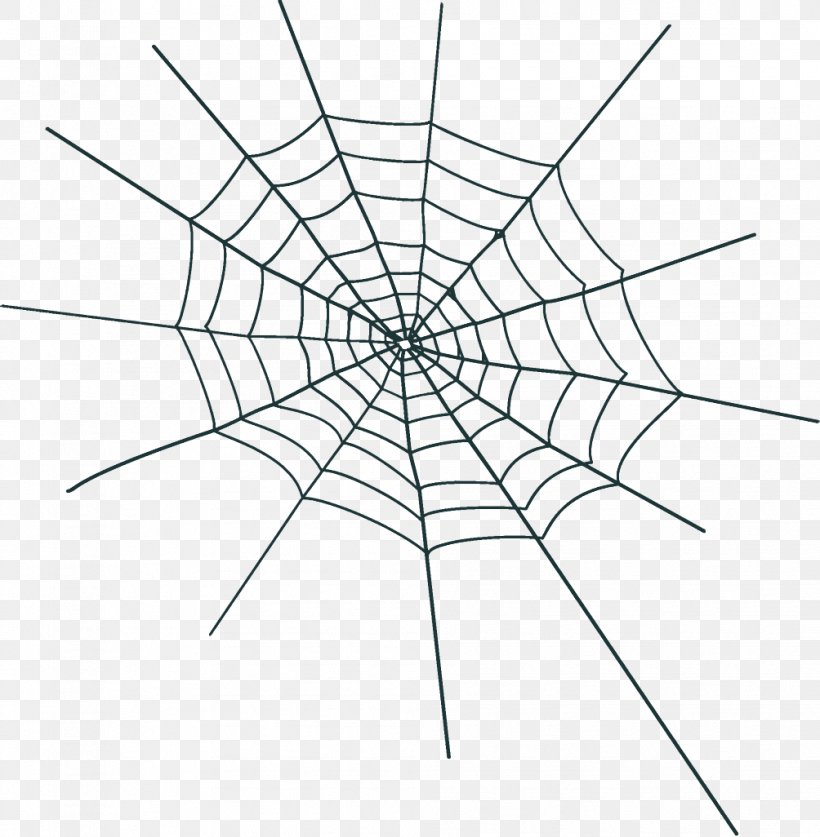Spider Web Halloween, PNG, 1004x1026px, Spider Web, Blackandwhite, Diagram, Halloween, Line Art Download Free