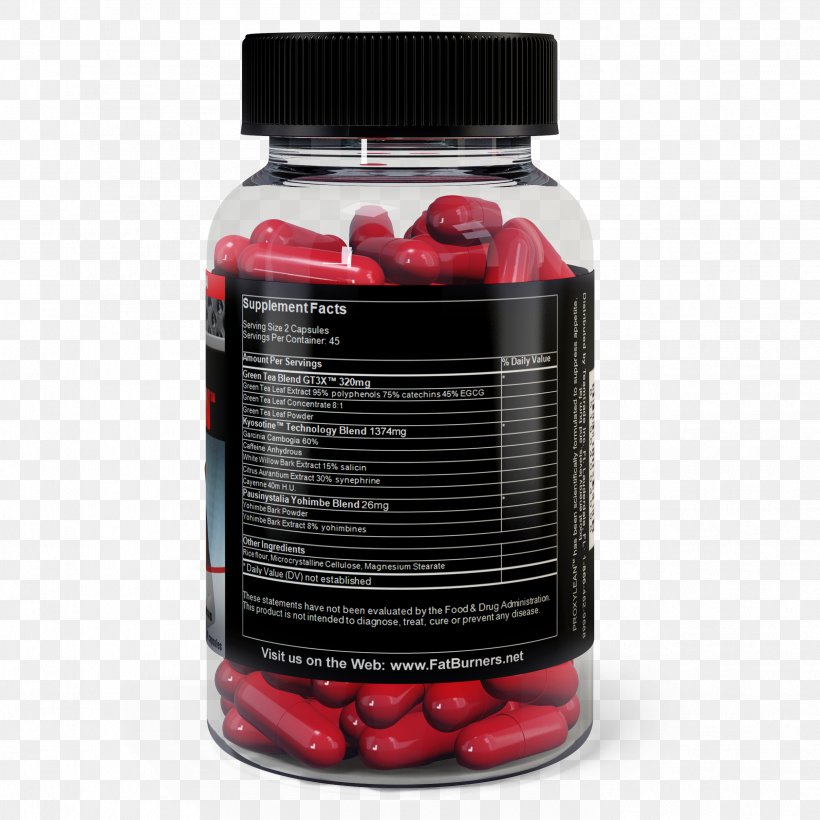 Dietary Supplement Garcinia Gummi-gutta Weight Loss Thermogenics Fatburner, PNG, 2504x2504px, Dietary Supplement, Adipose Tissue, Detoxification, Diet, Exercise Download Free