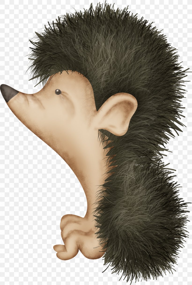 Hedgehog Cartoon Echidna, PNG, 858x1272px, Hedgehog, Cartoon, Ear, Echidna, Fur Download Free