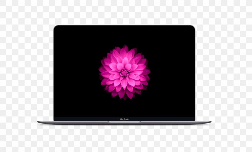 IPhone 5 IPhone 7 IPhone 6S IPhone 6 Plus MacBook Pro, PNG, 1203x728px, Iphone 5, Apple, Display Device, Flower, Iphone Download Free