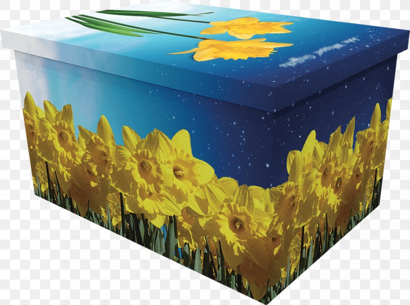 Coffin Box I Wandered Lonely As A Cloud Daffodil Flower, PNG, 929x693px, Coffin, Box, Cardboard, Daffodil, Flower Download Free