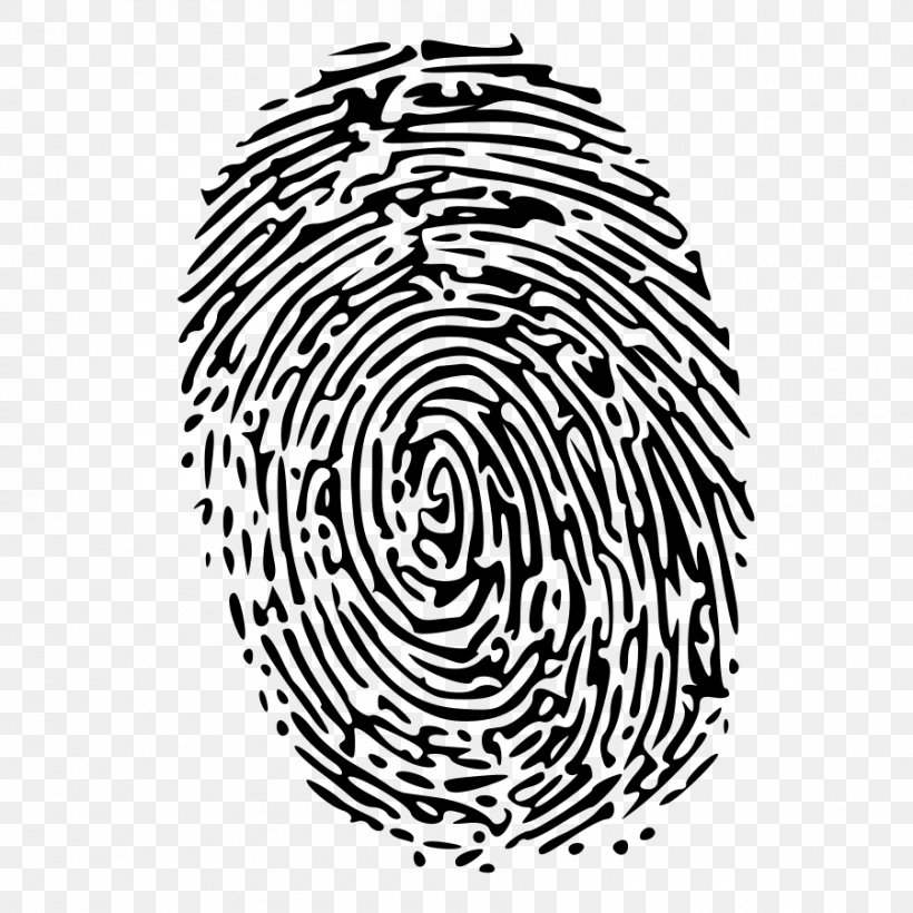 Fingerprint Clip Art, PNG, 900x900px, Fingerprint, Area, Black, Black And White, Description Download Free