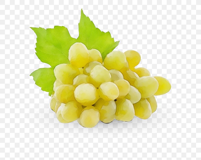 Grape Seedless Fruit Grapevine Family Food Fruit, PNG, 650x650px, Watercolor, Food, Fruit, Grape, Grapevine Family Download Free