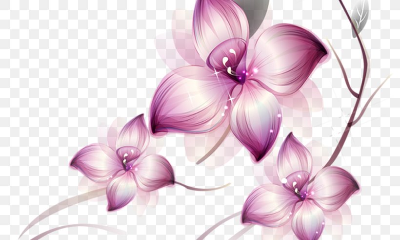 Pink Flowers Clip Art, PNG, 800x491px, Flower, Art, Blossom, Digital Image, Flora Download Free