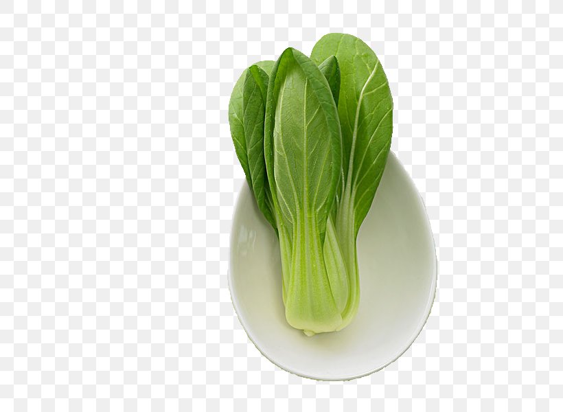 Romaine Lettuce Choy Sum Napa Cabbage, PNG, 599x600px, Romaine Lettuce, Bok Choy, Cabbage, Chard, Chinese Cabbage Download Free