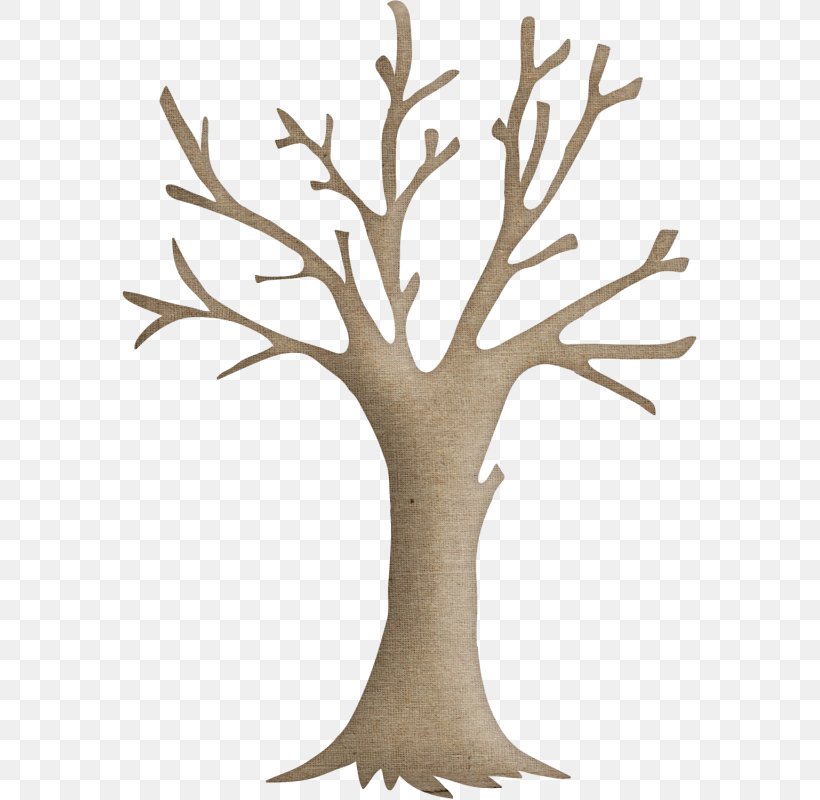 Tree Trunk Drawing, PNG, 576x800px, Twig, Autumn, Branch, Drawing, Flower Download Free