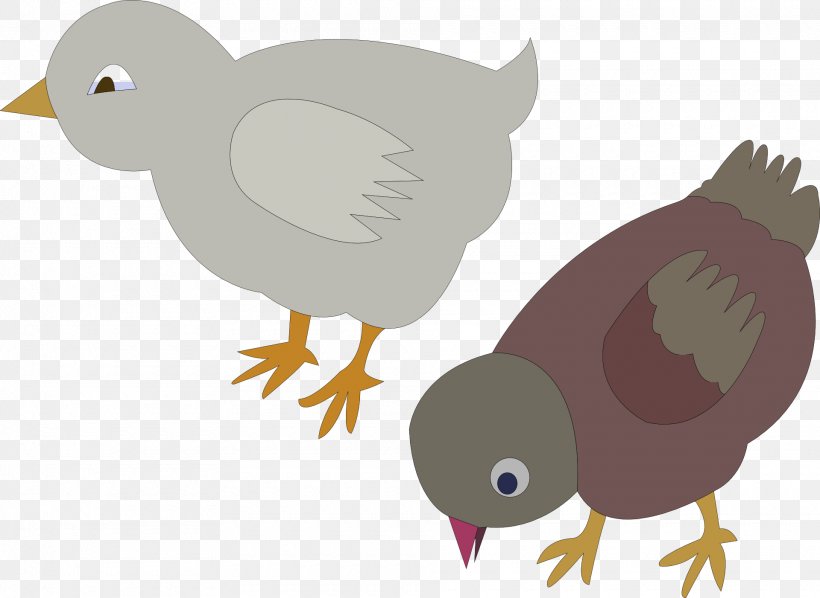 Chicken Meat Clip Art, PNG, 1920x1402px, Chicken, Beak, Bird, Chicken Meat, Duck Download Free