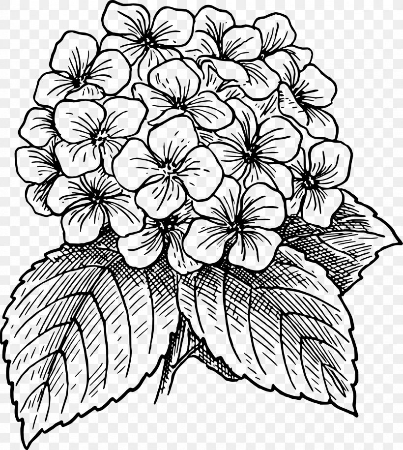 Flower Line Art, PNG, 1719x1919px, Floral Design, Blackandwhite, Coloring Book, Cornales, Creativity Download Free
