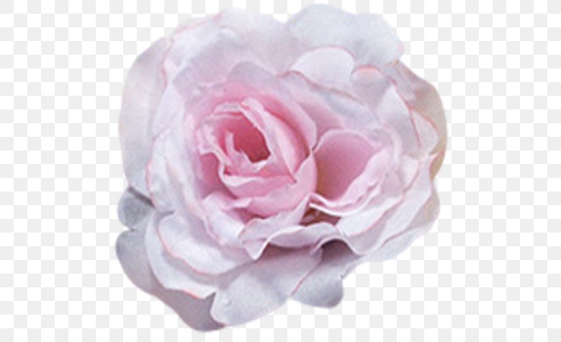 Garden Roses Centifolia Roses Petal Dress Flower, PNG, 500x500px, Garden Roses, Artificial Flower, Camellia, Centifolia Roses, Color Download Free