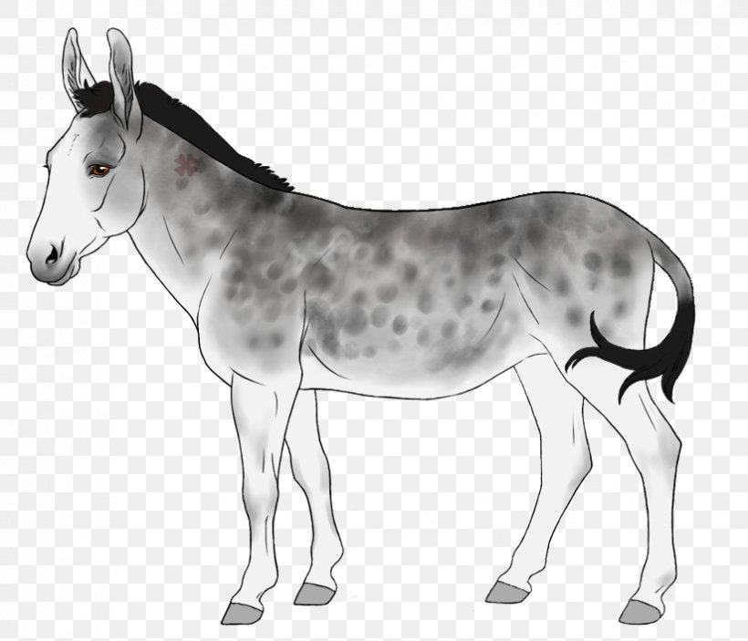 Mule Foal Donkey Mare Colt, PNG, 824x707px, Mule, Animal, Black And White, Bridle, Colt Download Free