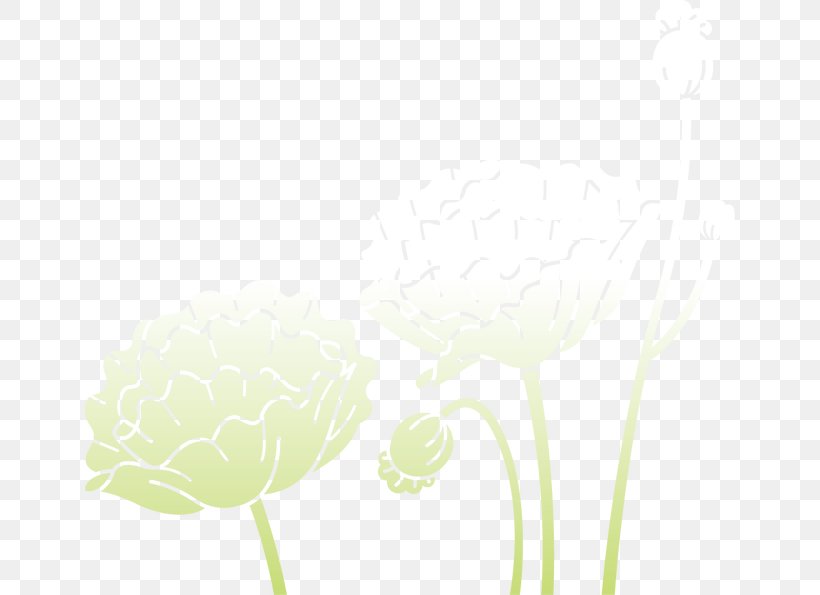 Petal Flowering Plant Plant Stem Computer Wallpaper, PNG, 650x595px, Petal, Computer, Flora, Flower, Flowering Plant Download Free