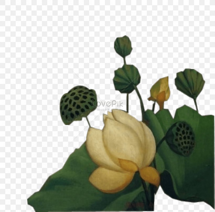 Image Graphics Illustration Download Photograph, PNG, 1200x1183px, Sacred Lotus, Flower, Flowering Plant, Flowerpot, Image File Formats Download Free