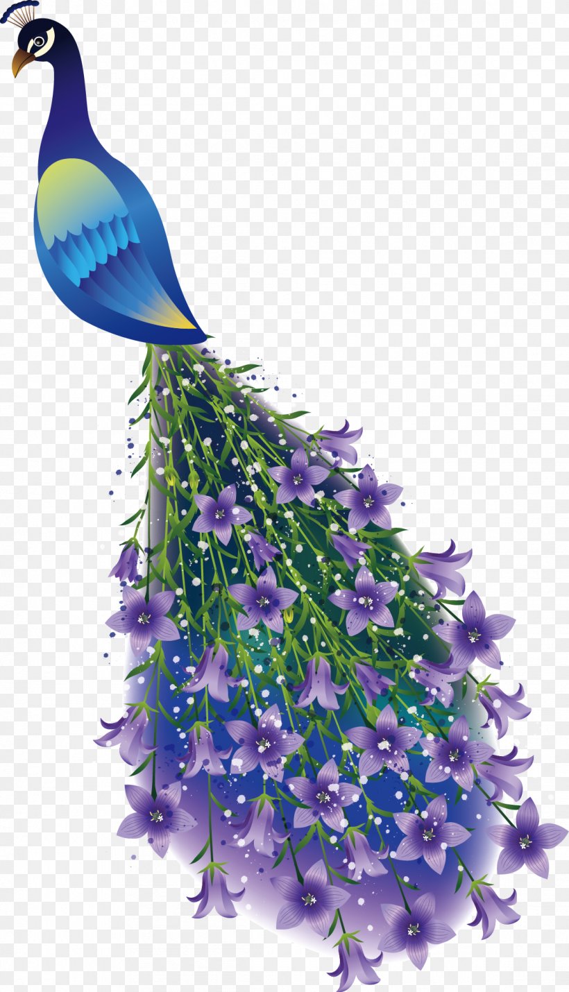 Peafowl Branch Drawing Illustration, PNG, 1145x1998px, Peafowl, Bellflower Family, Branch, Drawing, English Lavender Download Free