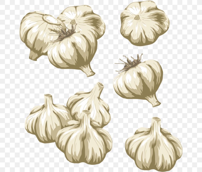 Vegetable Garlic Clip Art, PNG, 666x699px, Vegetable, Black And White, Drawing, Flowering Plant, Food Download Free