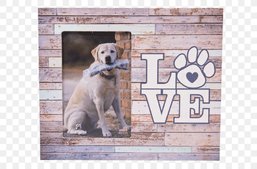 Labrador Retriever Picture Frames Mirror Mat, PNG, 720x540px, Labrador Retriever, Bed Frame, Decorative Arts, Dog, Dog Breed Download Free