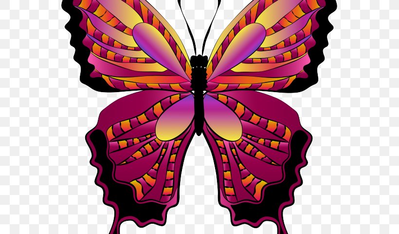 Monarch Butterfly Drawing, PNG, 640x480px, Butterfly, Brushfooted Butterfly, Drawing, Insect, Magenta Download Free