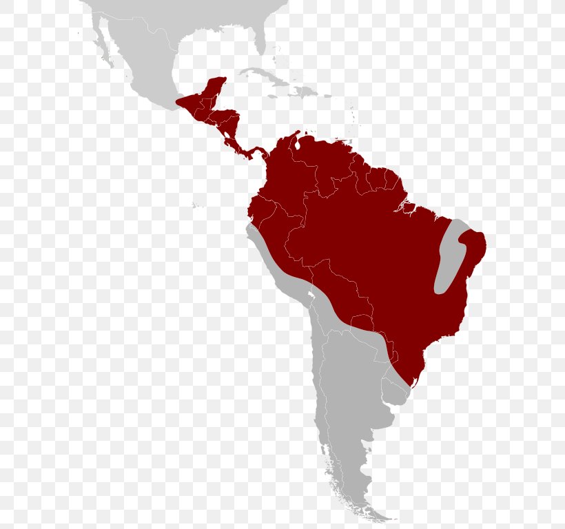 South America Latin America Language English Map, PNG, 614x768px, South America, Americas, English, Geography, Language Download Free