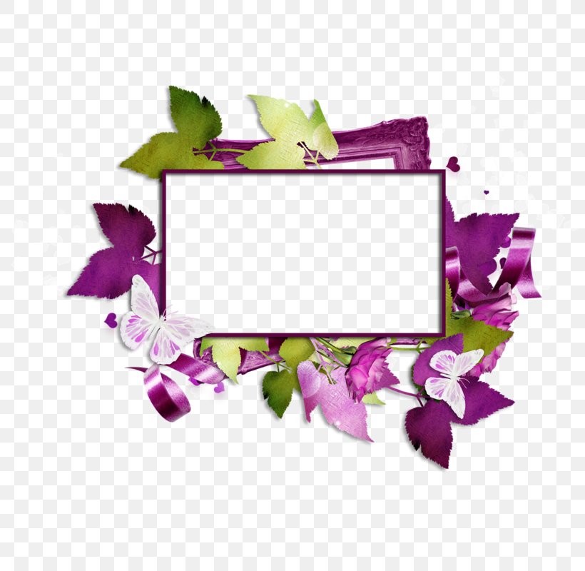 Blog Picture Frames Just Like Fire 0, PNG, 800x800px, 2016, 2017, Blog, Alice Through The Looking Glass, Cut Flowers Download Free