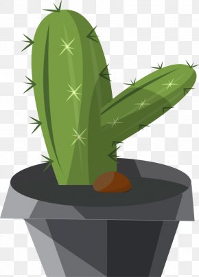 Desenho de cacto verde, Cactaceae Cartoon Saguaro, Cartoon Cactus s, folha,  vertebrado png