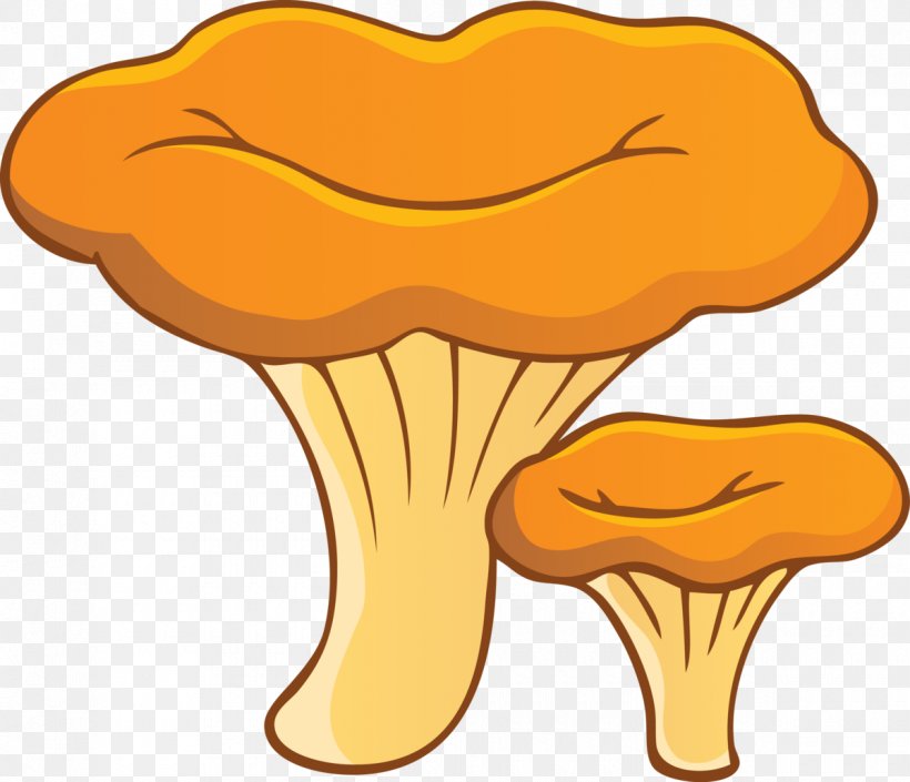Chanterelle Fungus Edible Mushroom Aspen Mushroom, PNG, 1200x1033px, Chanterelle, Aspen Mushroom, Boletus, Boletus Edulis, Cantharellus Download Free