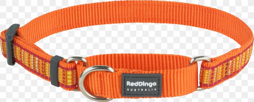 Dog Collar Dog Collar Dingo Martingale, PNG, 3000x1215px, Dog, Choker, Cimb, Collar, Dingo Download Free