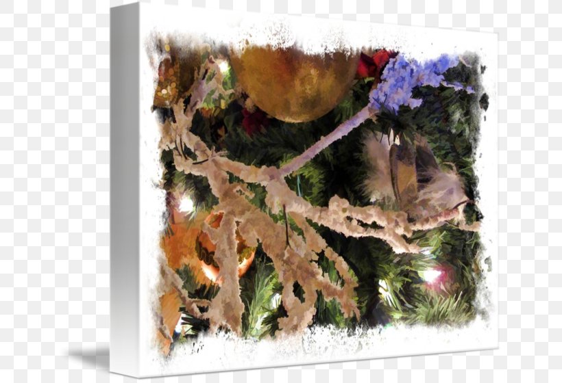 Christmas Ornament, PNG, 650x560px, Christmas Ornament, Christmas, Flora, Plant, Tree Download Free