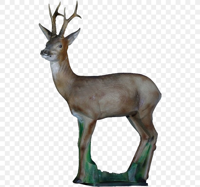 Roe Deer Elk Red Deer White-tailed Deer, PNG, 506x768px, Roe Deer, Animal, Antler, Archery, Bow Download Free