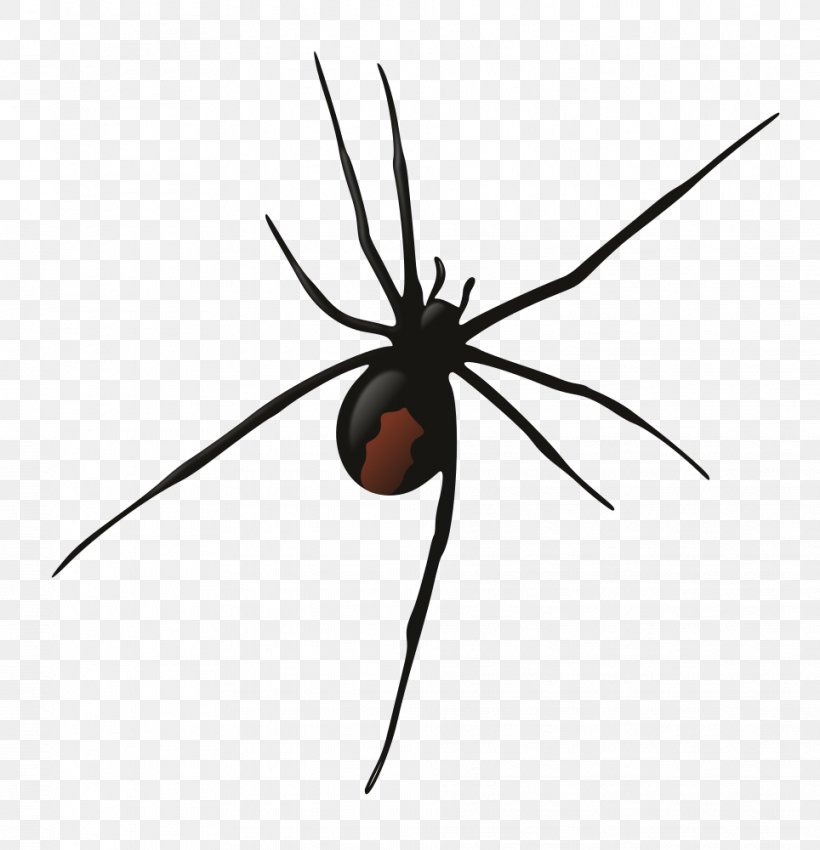 Southern Black Widow Redback Spider Wolf Spider Clip Art, PNG, 964x1000px, Southern Black Widow, Arachnid, Arthropod, Black Widow, Black Widow Spider Download Free