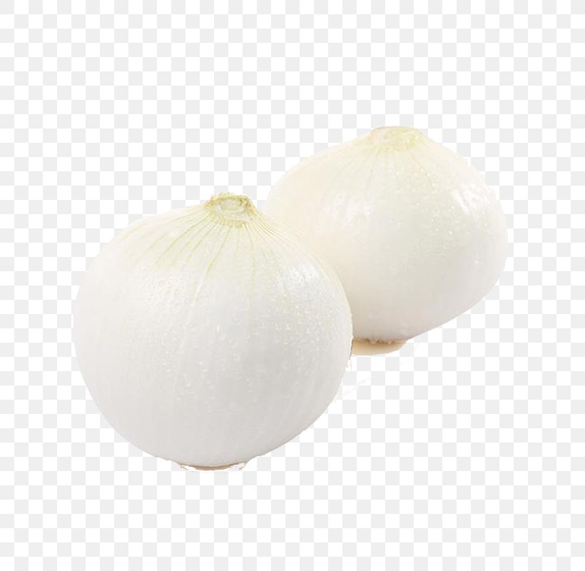 White Onion Vegetable Download, PNG, 800x800px, Onion, Cutting, Google Images, Ingredient, Material Download Free