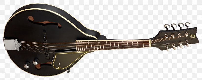 Cavaquinho Mandolin Electric Guitar Tiple Bridge, PNG, 2500x1000px, Cavaquinho, Acoustic Electric Guitar, Acoustic Guitar, Acousticelectric Guitar, Bridge Download Free