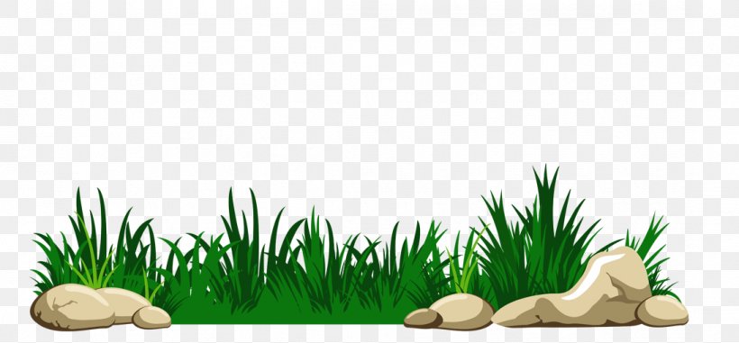 Clip Art, PNG, 1091x507px, Lawn, Commodity, Computer, Grass, Grass Family Download Free