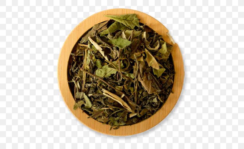 Hōjicha White Tea Assam Tea Sencha Green Tea, PNG, 500x500px, Hojicha, Assam Tea, Bai Mudan, Bancha, Biluochun Download Free
